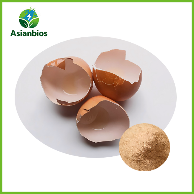 Eggshell Membrane Peptide